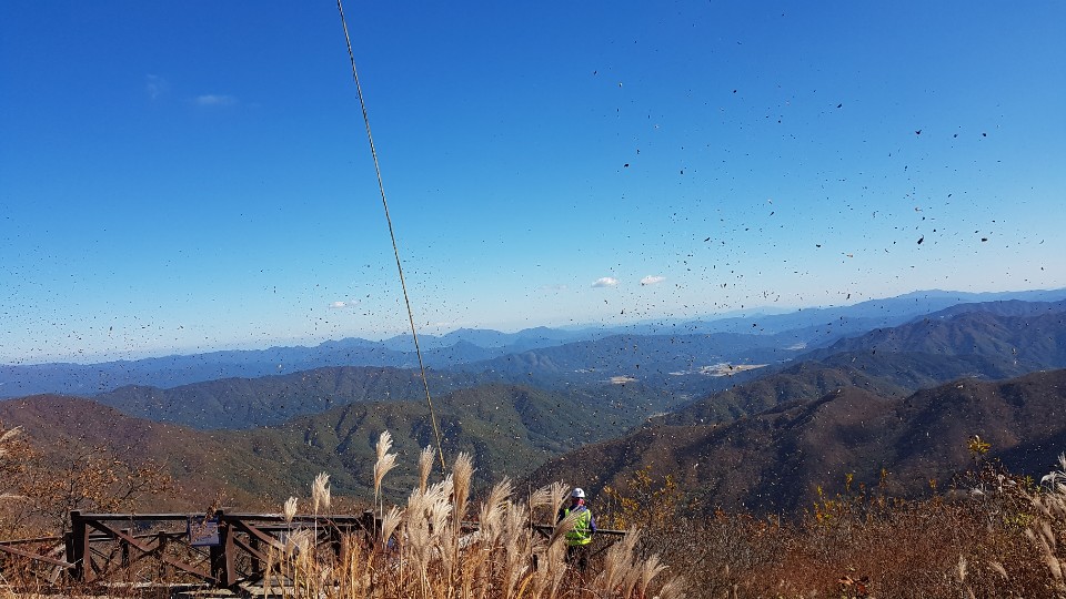 18학년도 2학기 비지니스 현장견학 사진