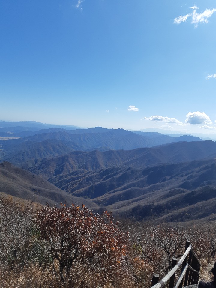 18학년도 2학기 비지니스 현장견학 사진